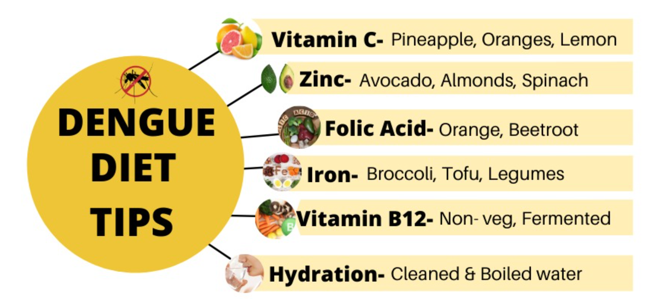 🥗 Home Diet Plan for Dengue Patients – Fast Recovery Tips