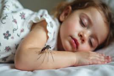 🌿 Children Ke Liye Dengue Care Plan – Safe Home Remedies