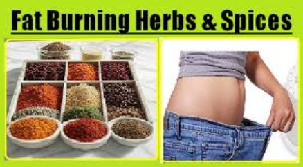 5 Most Powerful Belly Fat Spices